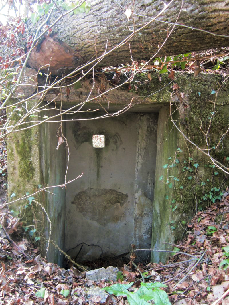 Ligne Maginot - MAISON FORESTIERE DE RITTERSHOFFEN 1 - (Blockhaus pour arme infanterie) - 