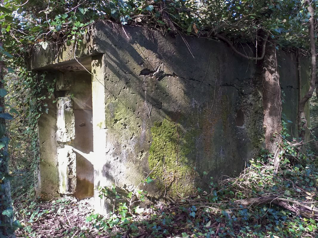 Ligne Maginot - NIEDERWALD - (Position d'artillerie préparée) - 