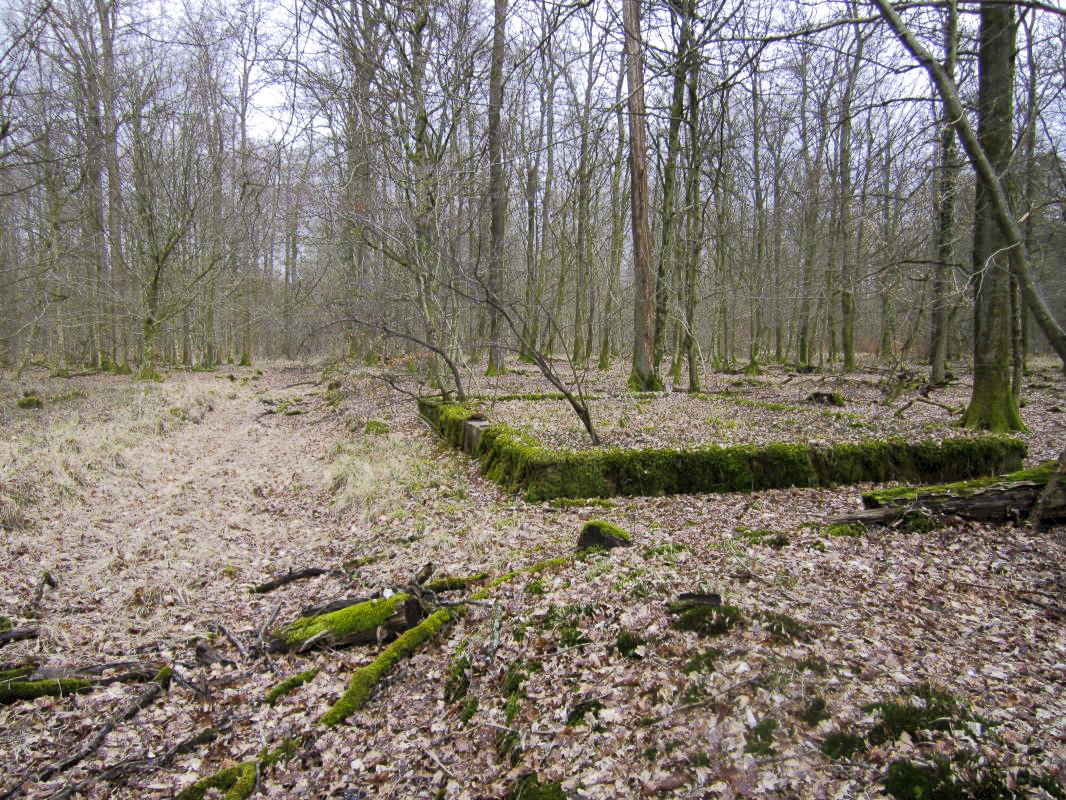 Ligne Maginot - SANDMUEHLE - (Casernement) - 