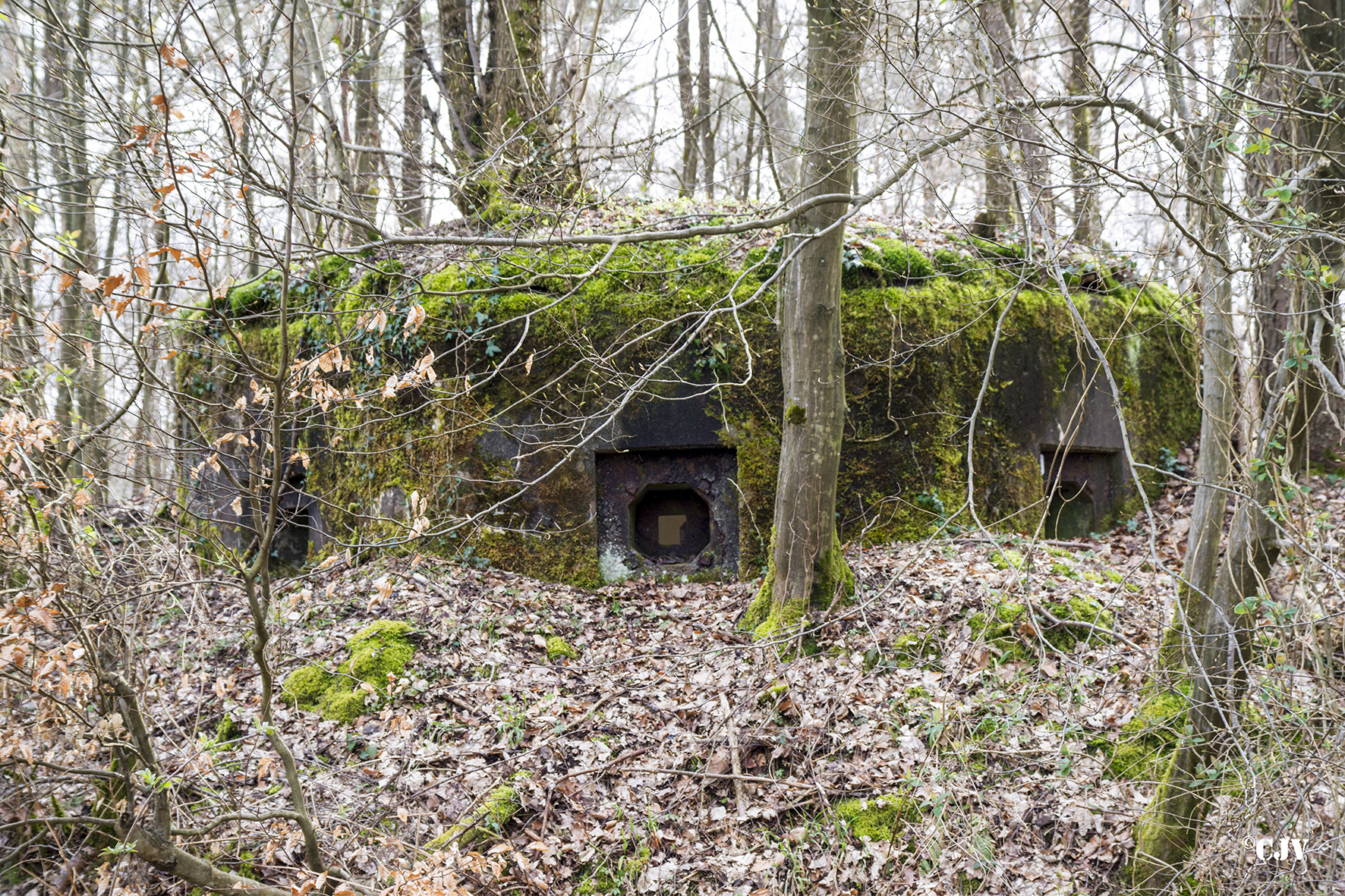 Ligne Maginot - SANDMUEHLE SUD - (Blockhaus pour arme infanterie) - Vue de face avant
