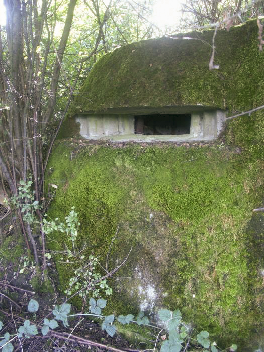 Ligne Maginot - FINNHAAG 2 (Blockhaus pour arme infanterie) - La coupole