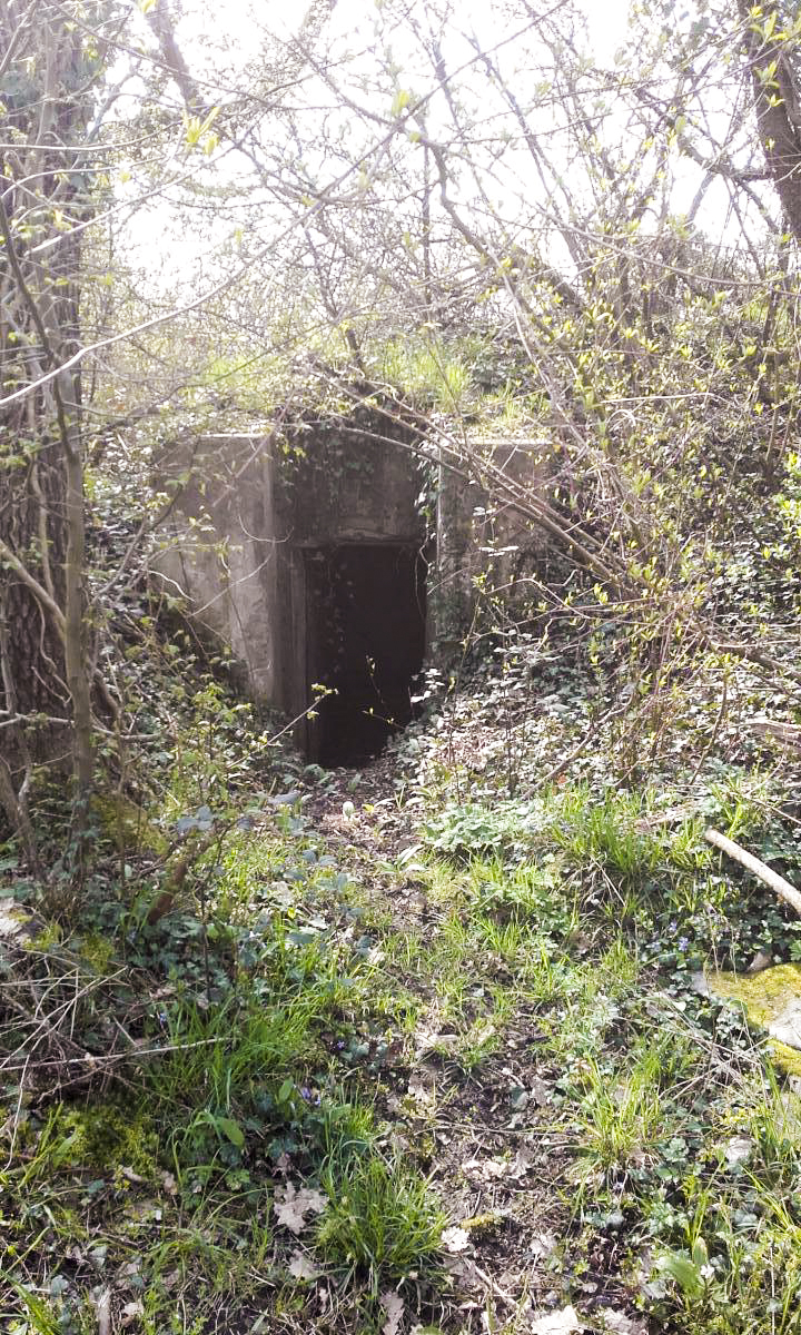 Ligne Maginot - OBERWALD SUD - (Blockhaus pour arme infanterie) - Entrée