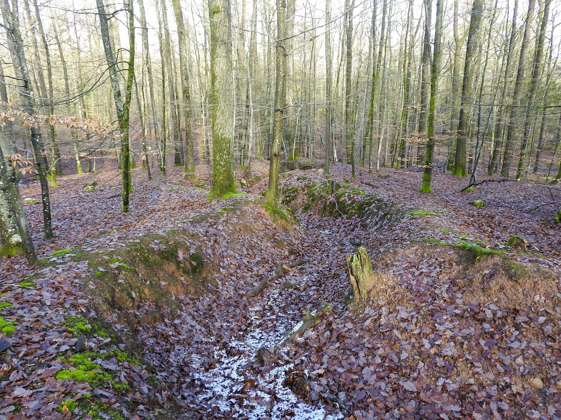 Ligne Maginot - PFAFFENBERG ( PC DU II - 60° RMAF) - (PC de Quartier) - Des tranchées