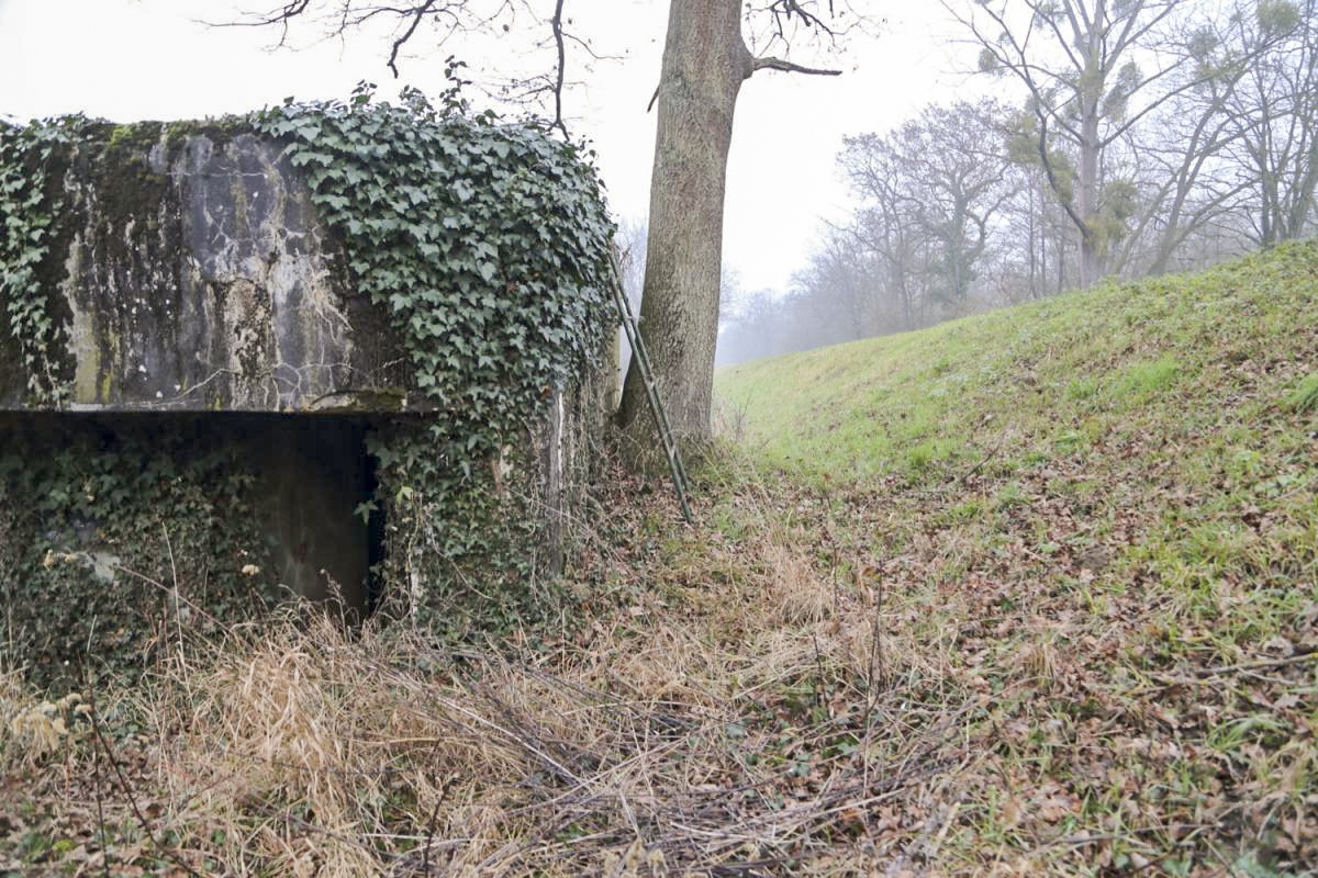 Ligne Maginot - 7 - WANTZENAU DIGUE 4 - (Blockhaus pour arme infanterie) - 