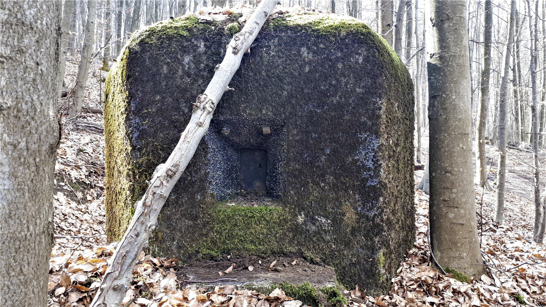 Ligne Maginot - PFAFFENBRONN 2 - (Blockhaus pour arme infanterie) - Créneau frontal