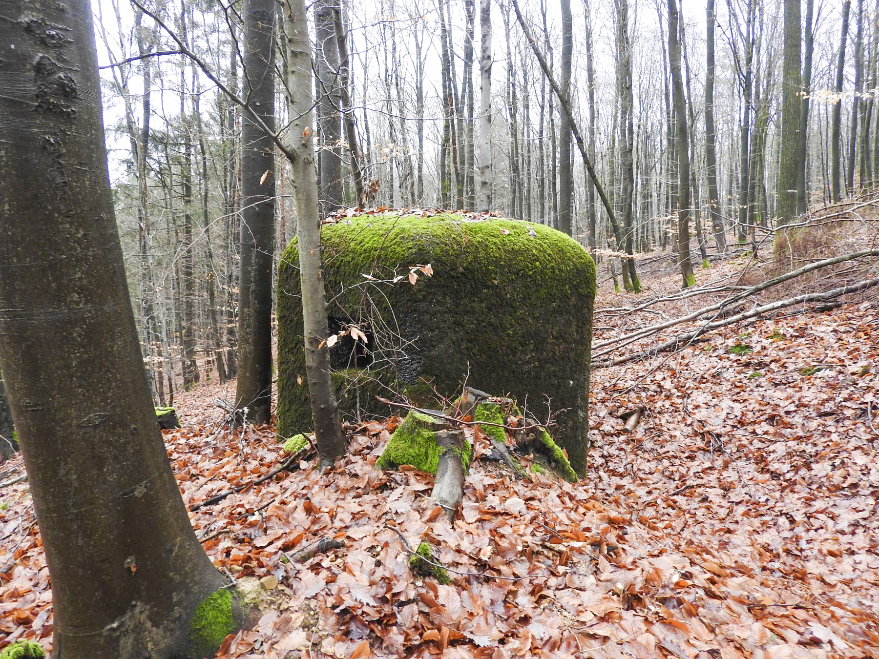 Ligne Maginot - PFAFFENBRONN 2 - (Blockhaus pour arme infanterie) - Créneau latéral de défense rapprochée