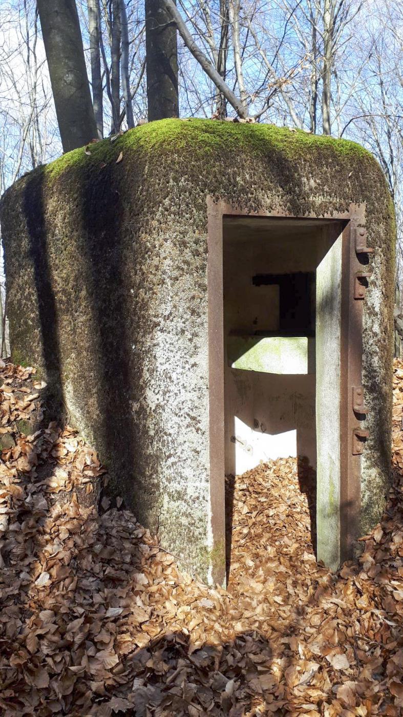 Ligne Maginot - PFAFFENBRONN 2 - (Blockhaus pour arme infanterie) - L'entrée