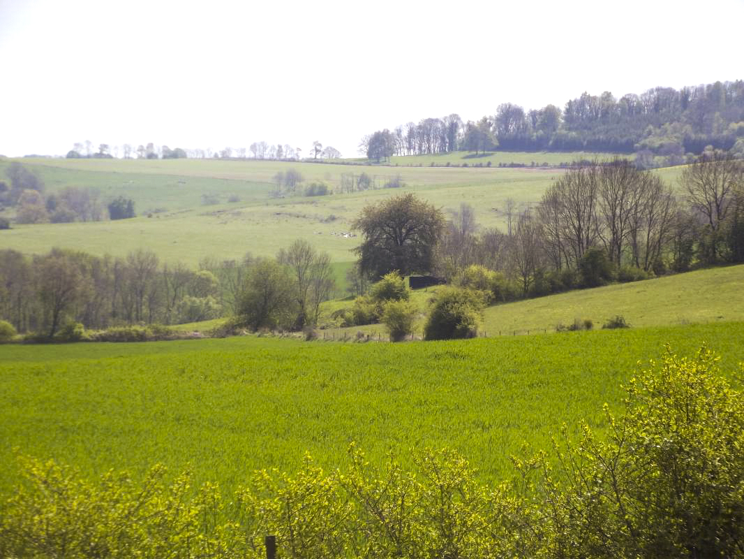 Ligne Maginot - N - LE RETAY - (Blockhaus pour canon) - Vue du  créneau FM vers Bb 175