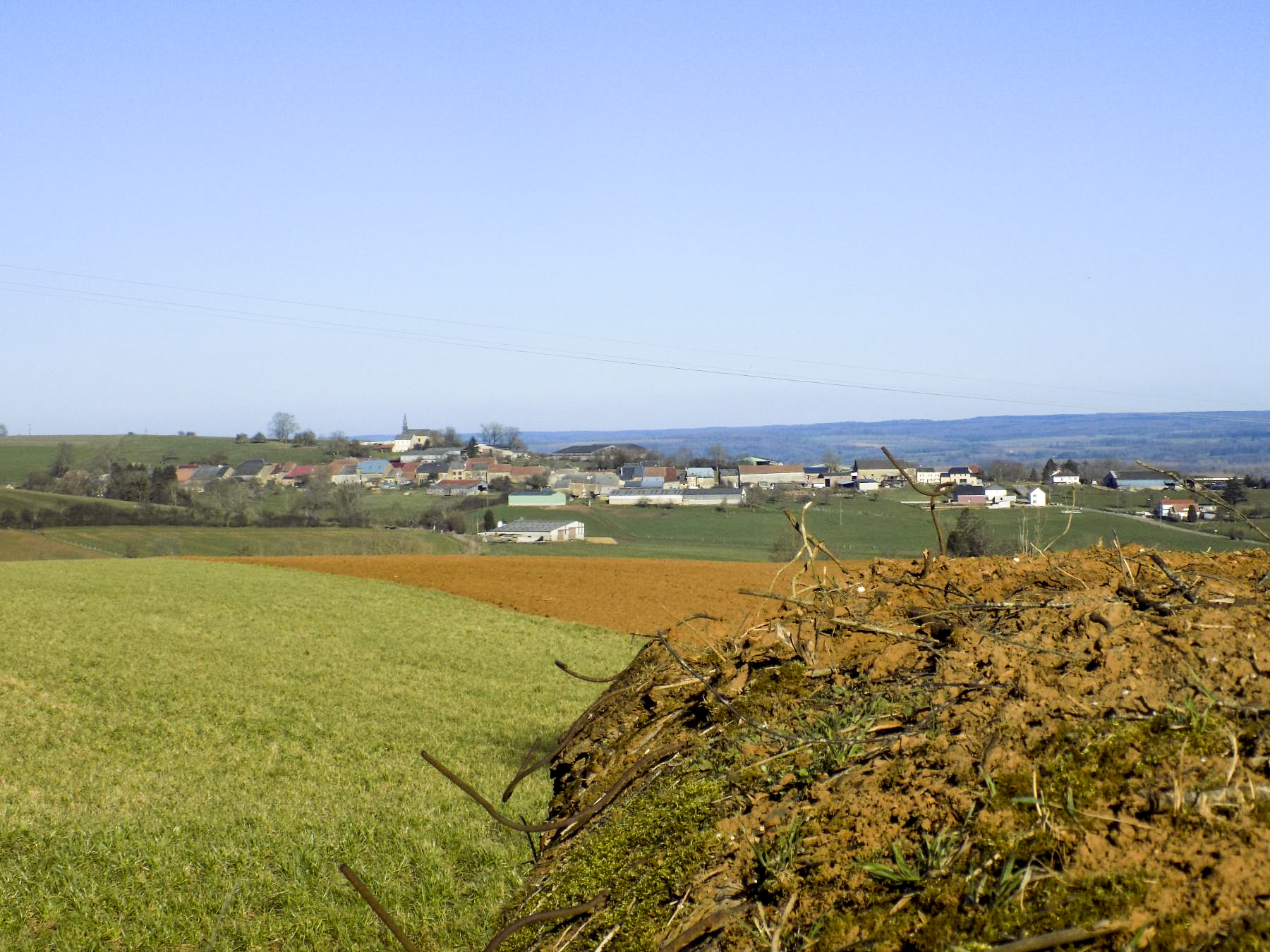 Ligne Maginot - N - LE RETAY - (Blockhaus pour canon) - Vue vers Euilly (face gauche, Hotchkiss)