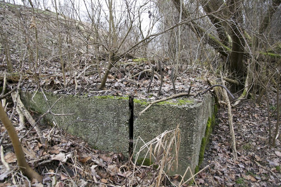 Ligne Maginot - FAHRKOPF Sud - (Blockhaus pour arme infanterie) - 