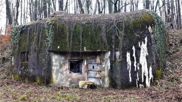 Ligne Maginot - FREUDENBERG (QUARTIER SCHIESSECK - I/37° RIF) - (Abri) - Le coffre d'entrée Ouest