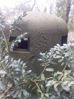 Ligne Maginot - 36/3 - ARTZENHEIM NORD - (Casemate d'infanterie - Simple) - 