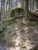 Ligne Maginot - FM77 - BETZENTHAL 4 - (Blockhaus pour arme infanterie) - Le créneau frontal vu depuis le chemin forestier