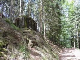 Ligne Maginot - FM77 - BETZENTHAL 4 - (Blockhaus pour arme infanterie) - L'entrée et le créneau latéral vu depuis le chemin forestier