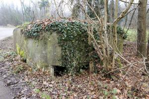 Ligne Maginot - WANTZENAU DIGUE 2 - (Blockhaus pour arme infanterie) - 