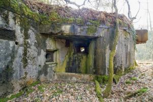 Ligne Maginot - Casemate de l'ALTZINSEL - 