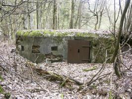 Ligne Maginot - DACHSECK 1 (Blockhaus pour canon) - Entrée pour canon