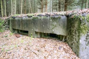 Ligne Maginot - Blockhaus de ERBSENTHAL 1 - 