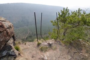 Ligne Maginot - Observatoire d'artillerie du FALKENBERG - La position de l'observatoire