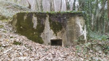 Ligne Maginot - Blockhaus Bb59-B - BOIS de l'HERMITAGE Nord - 