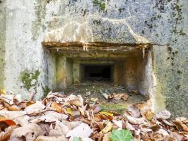 Ligne Maginot - Blockhaus - Bb59-B - Bois de l'Ermitage Nord - 