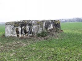 Ligne Maginot - AB2-D - ITINGERSLOCH NORD - (Blockhaus de type indéterminé) - La façade de tir remblayée.