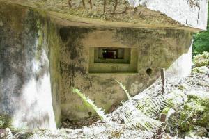 Ligne Maginot - LANGENACKER CENTRE - (Blockhaus pour arme infanterie) - 