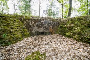 Ligne Maginot - MAIN du PRINCE 2 (Blockhaus pour arme infanterie) - Blockhaus mitrailleuse de gauche