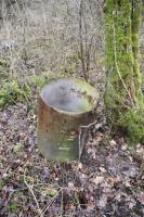 Ligne Maginot - BAERENRAIN - (Casernement) - Bidon des excréments des toilettes