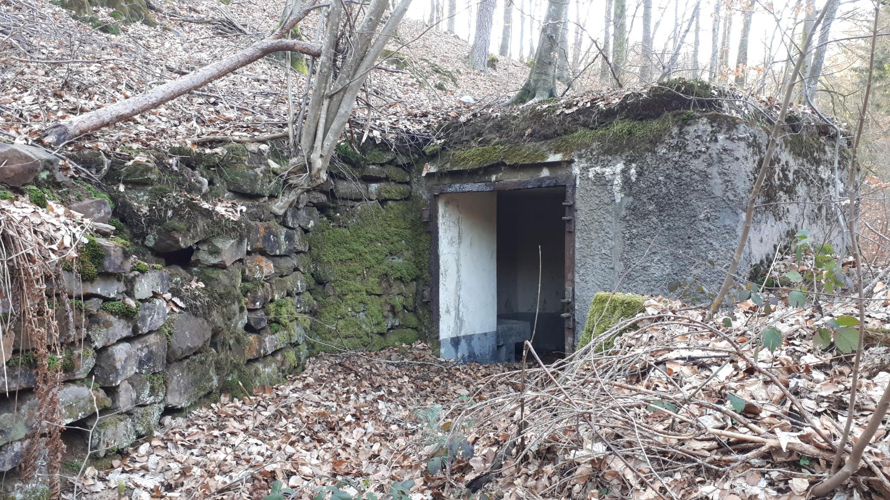 Ligne Maginot - C9 - SAEGEMUHLE - (Blockhaus pour canon) - L'entrée