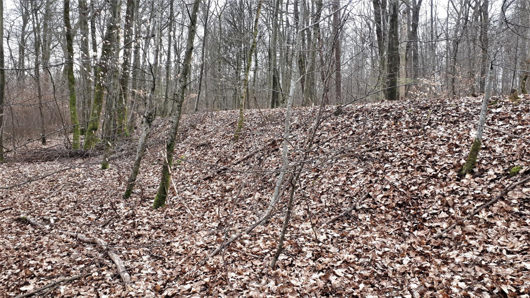 Ligne Maginot - LANGENSOULTZBACH - (Dépôt du Génie) - Remblais de protection