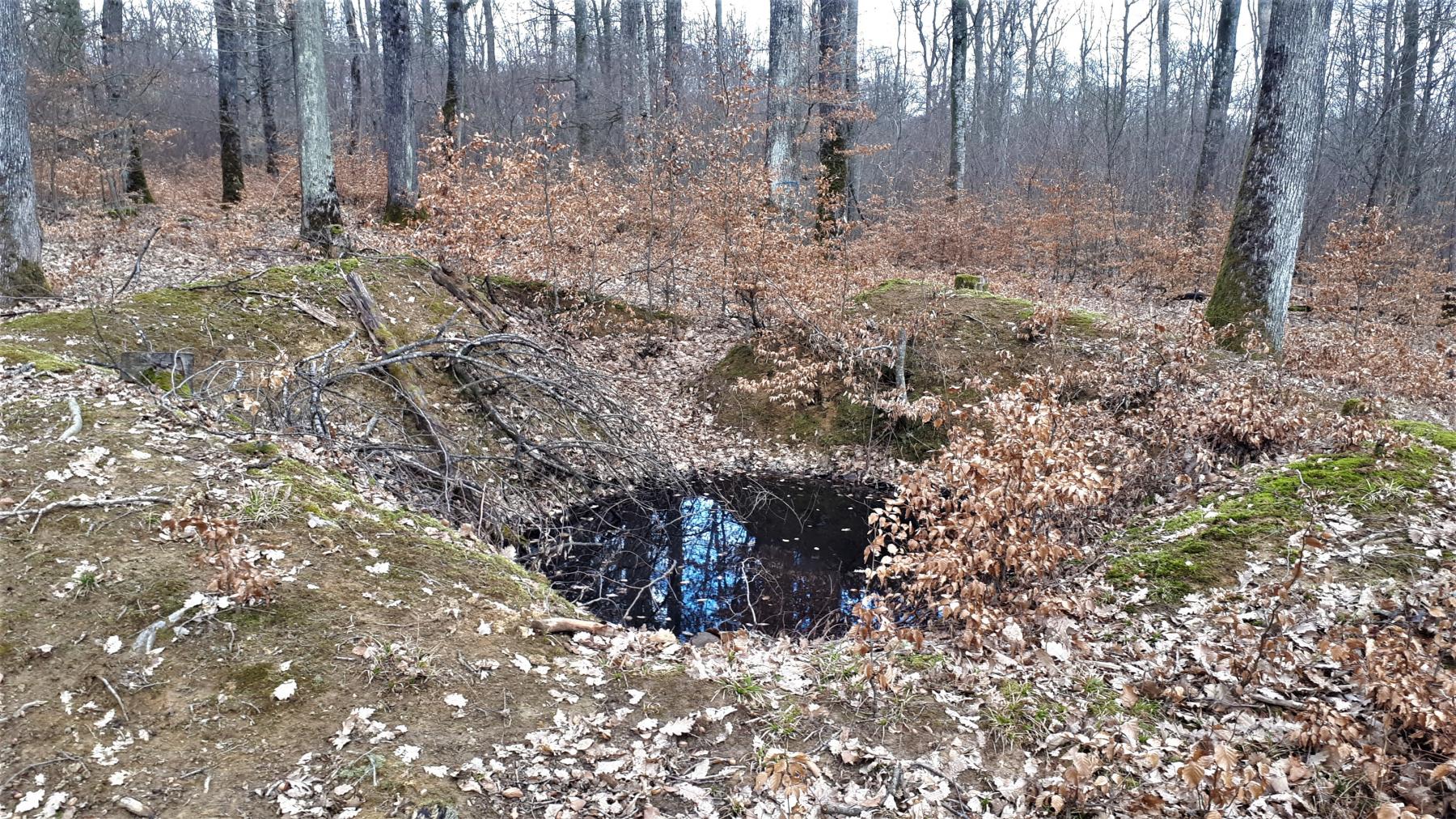 Ligne Maginot - LANGENSOULTZBACH - (Dépôt du Génie) - Fouille d'un abri de stockage extérieur