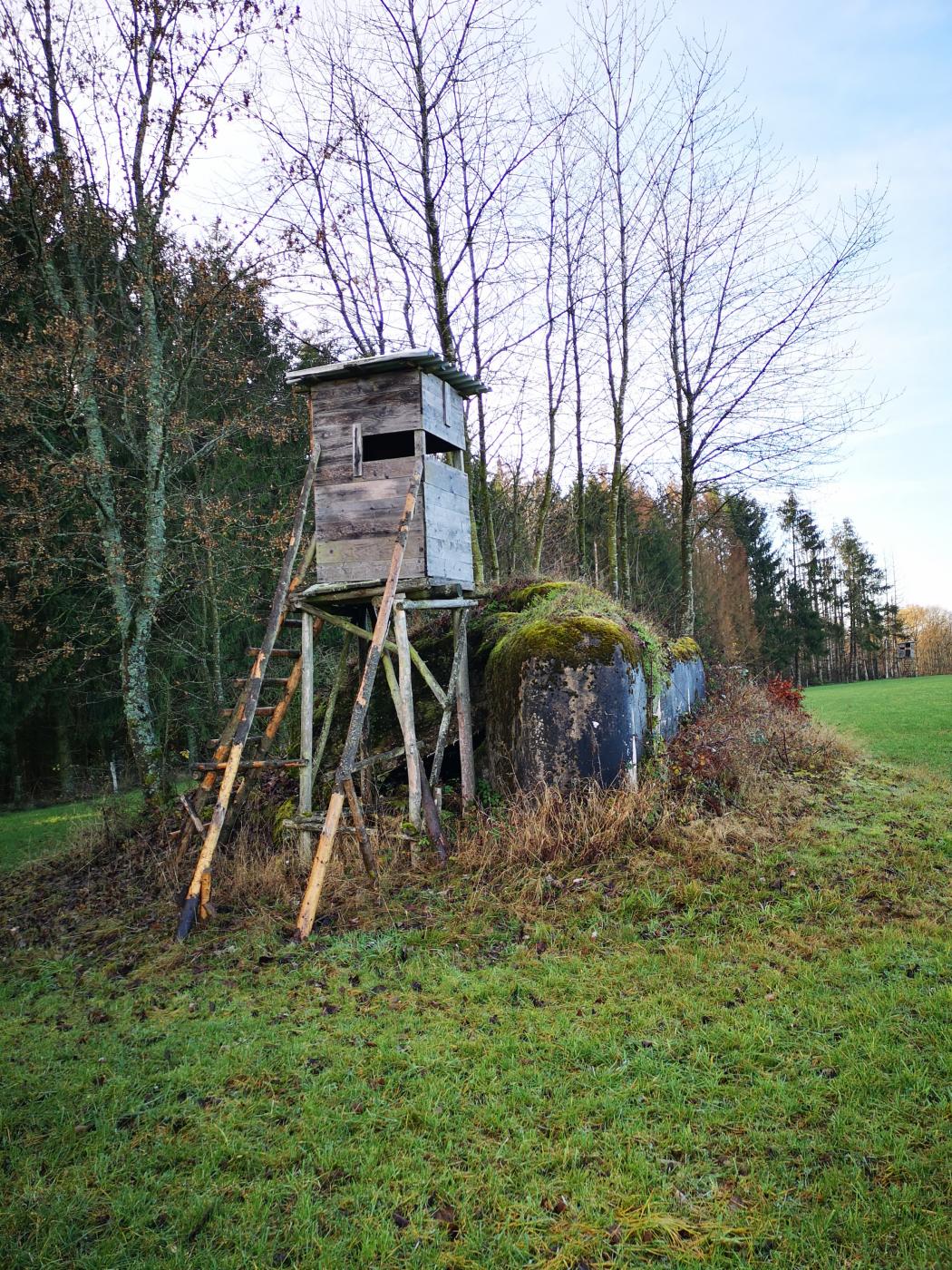 Ligne Maginot - WASENBERG 7 - (Blockhaus pour arme infanterie) - Vue sur le blockhaus n°7 du Wasenberg, explosé par les allemands en 1944. Un mirador a été installé à proximité.