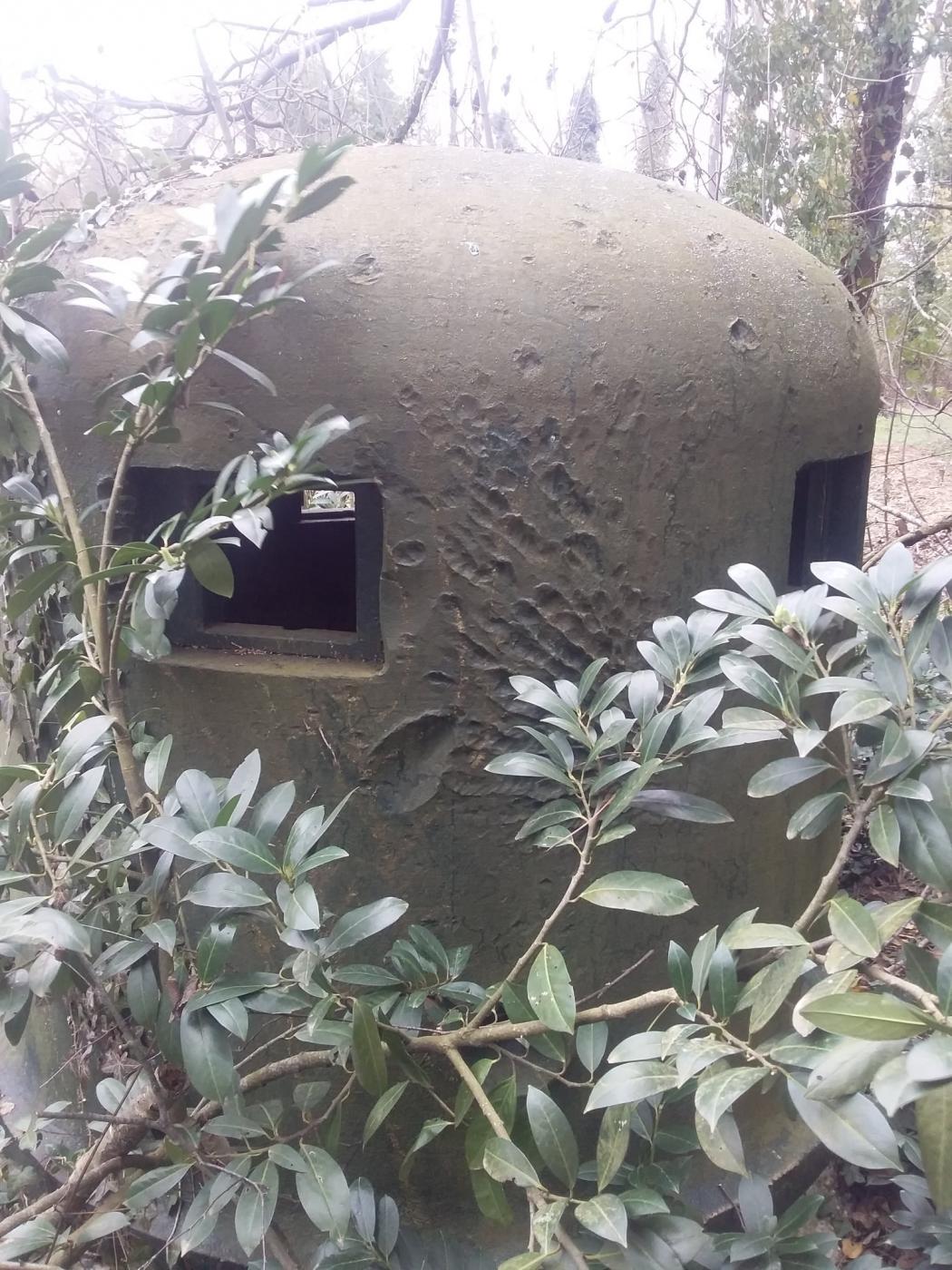 Ligne Maginot - 36/3 - ARTZENHEIM NORD - (Casemate d'infanterie - Simple) - 