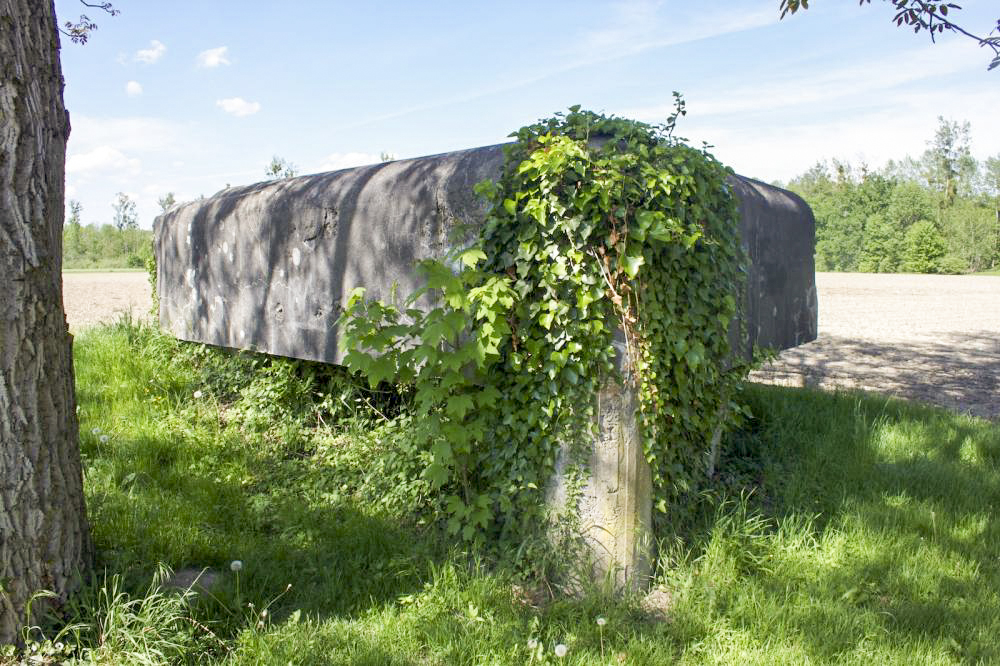 Ligne Maginot - IM WOOG - (Blockhaus pour arme infanterie) - Créneaux est et sud