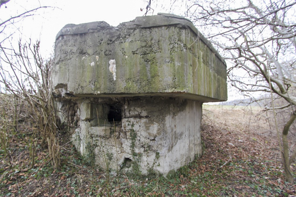 Ligne Maginot - JUNGGRUND - (Blockhaus pour arme infanterie) - 