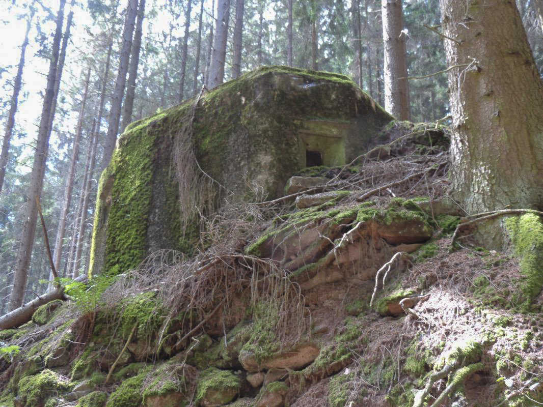 Ligne Maginot - FM77 - BETZENTHAL 4 - (Blockhaus pour arme infanterie) - Le créneau frontal