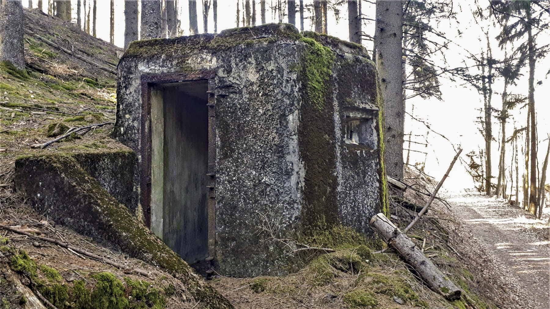 Ligne Maginot - FM77 - BETZENTHAL 4 - (Blockhaus pour arme infanterie) - L'entrée et le créneau latéral