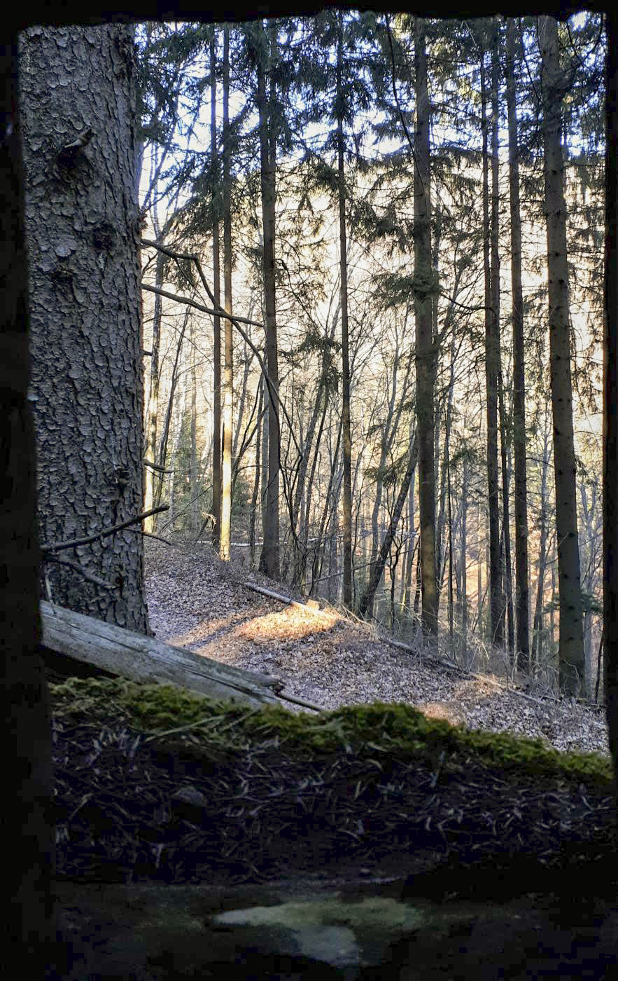 Ligne Maginot - FM77 - BETZENTHAL 4 - (Blockhaus pour arme infanterie) - Vue depuis le créneau frontal