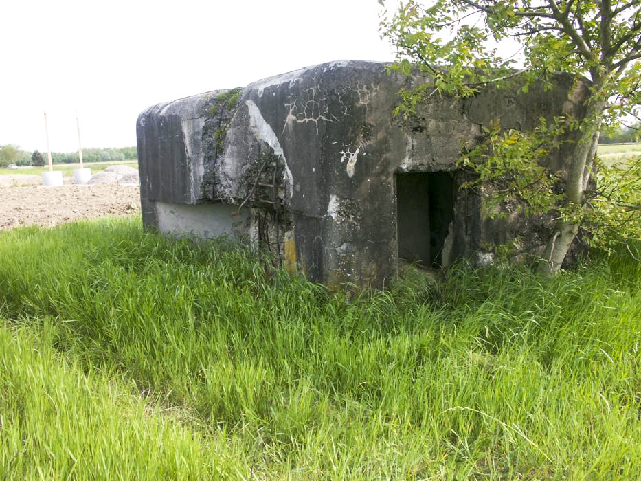 Ligne Maginot - NEUFELD (Blockhaus pour arme infanterie) - Vue d'ensemble