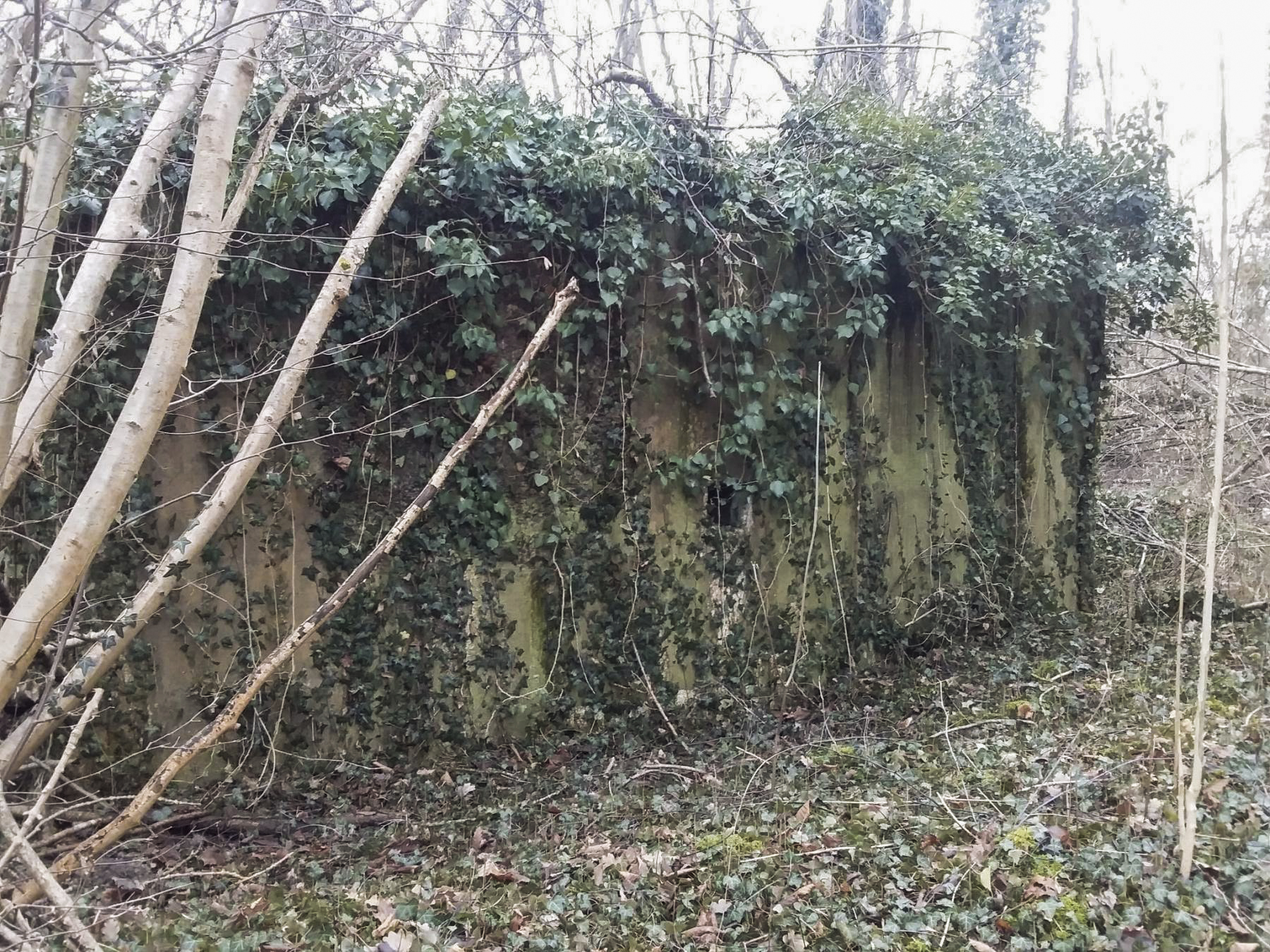 Ligne Maginot - BOIS D'ARTZENHEIM 1 - (PC) - 