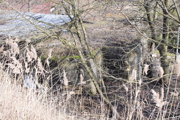 Ligne Maginot - WEYERSHEIM Nord - (Blockhaus pour canon) - 