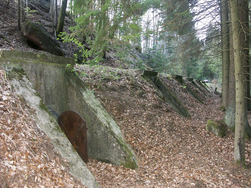 Ligne Maginot - Le DMP de l'Erbsenberg - Les entrées des dispositifs