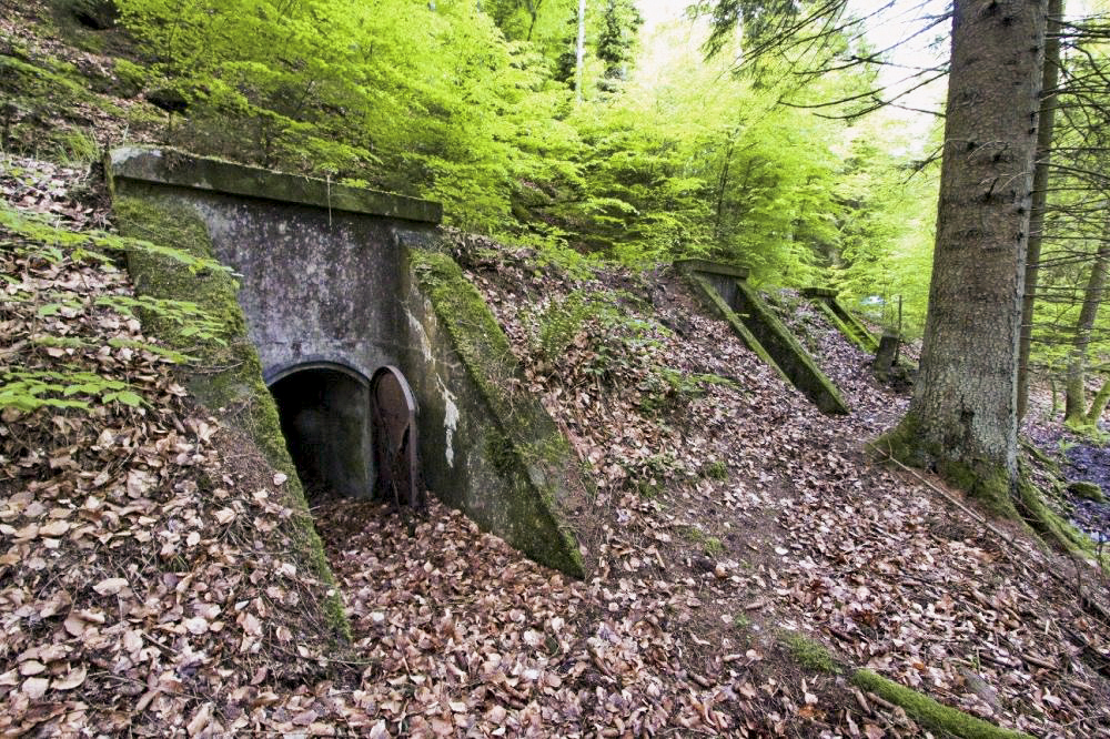 Ligne Maginot - Le DMP de l'Erbsenberg - 