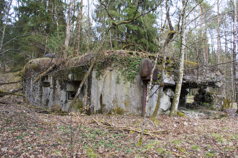 Ligne Maginot - Casemate d'infanterie de l'Altzinsel - 