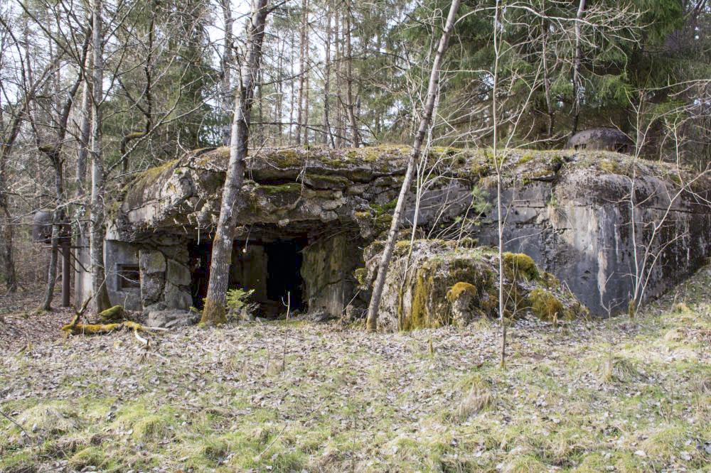 Ligne Maginot - Casemate d'infanterie de l'Altzinsel - 