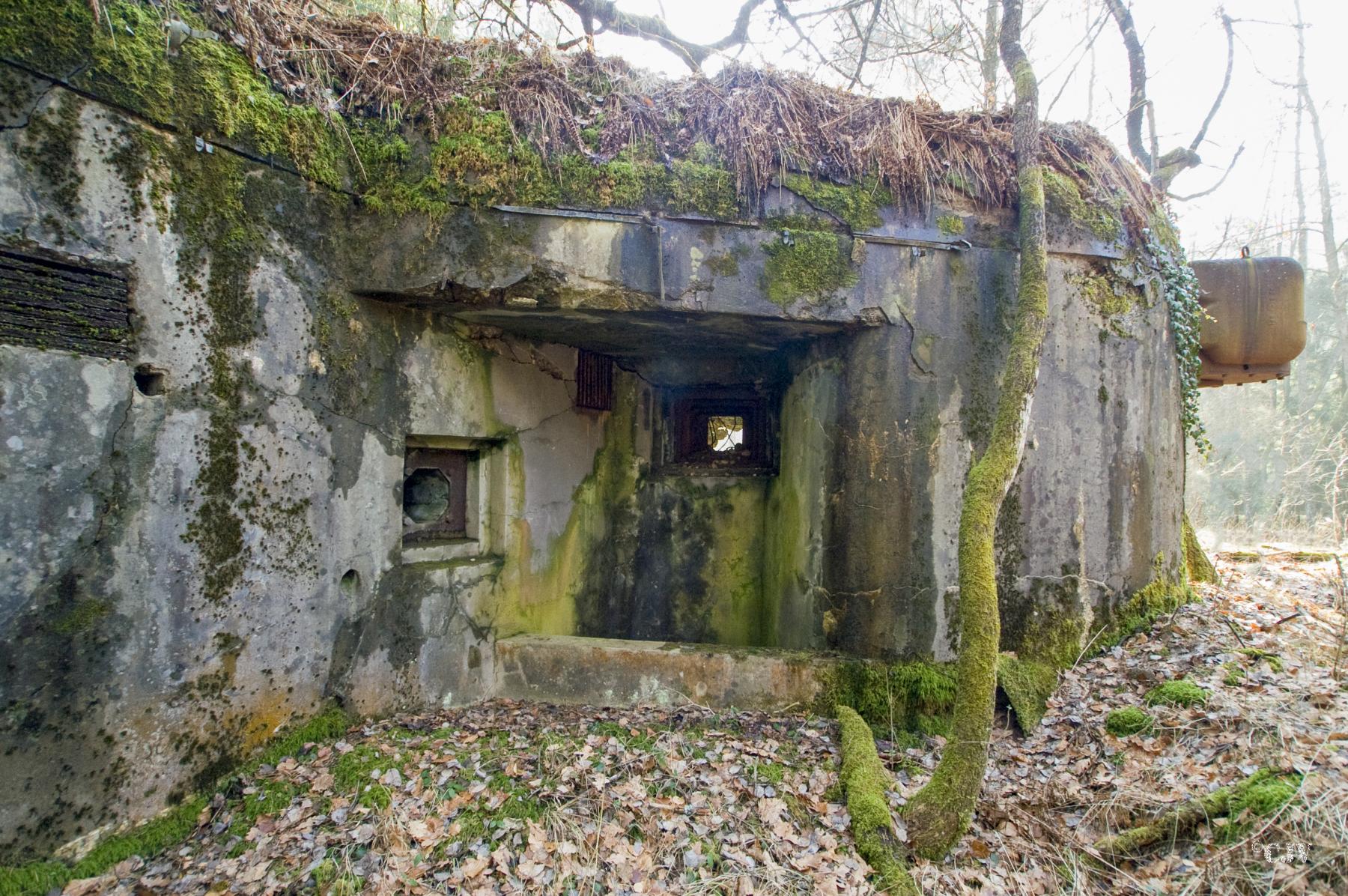 Ligne Maginot - Casemate de l'ALTZINSEL - 