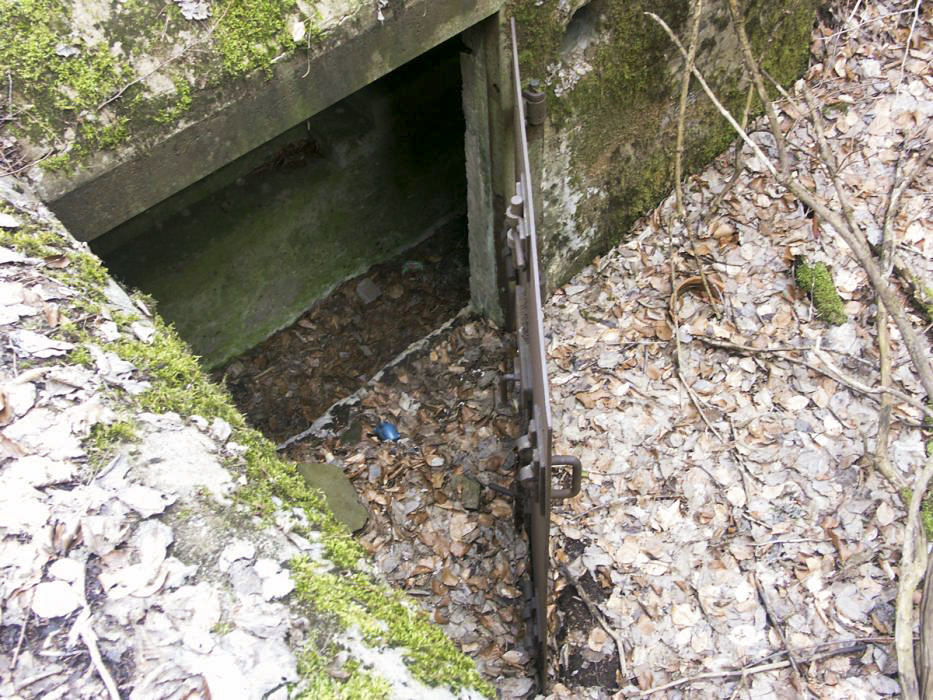 Ligne Maginot - DACHSECK 1 (Blockhaus pour canon) - Entrée du canon antichar
