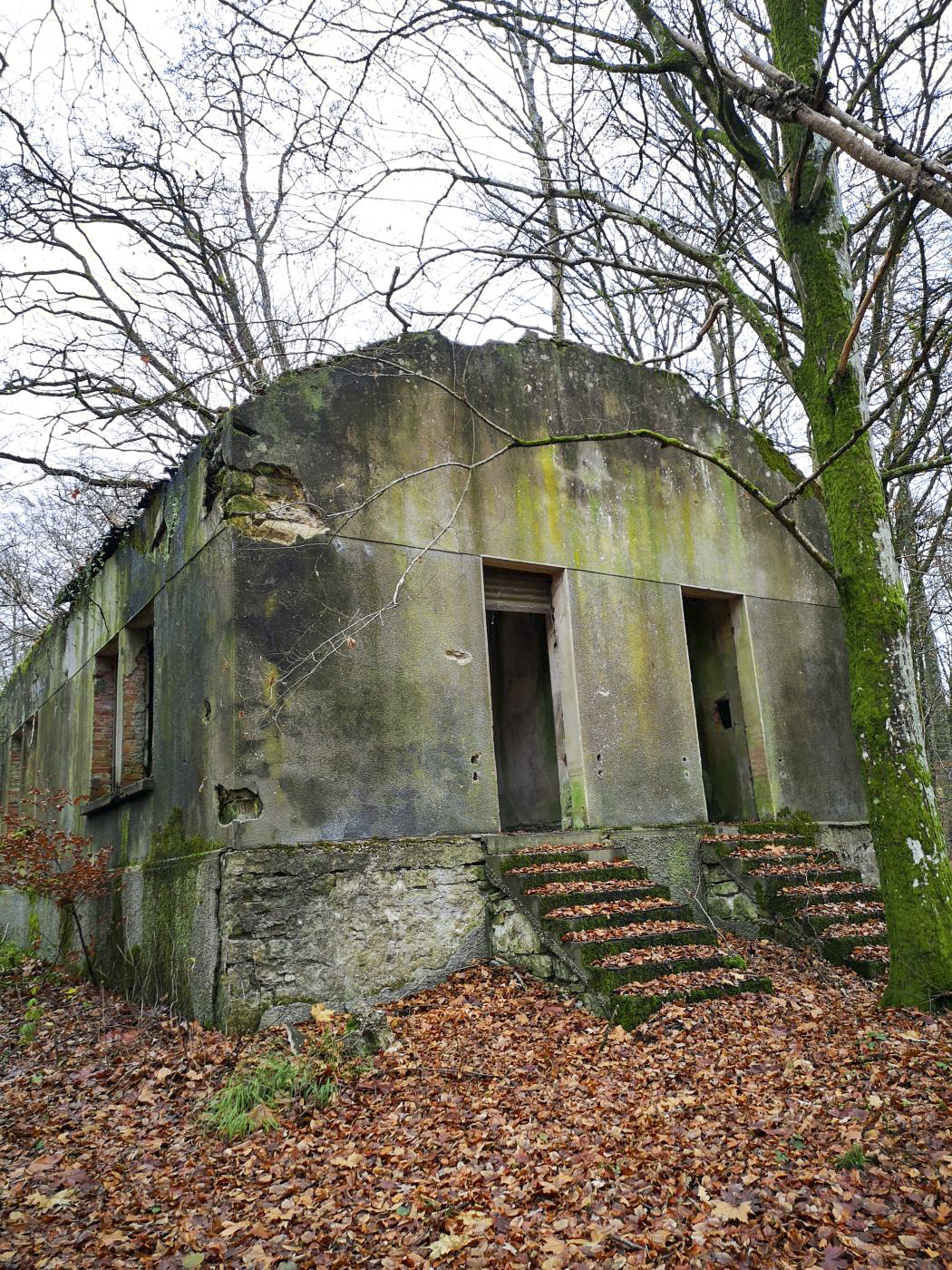 Ligne Maginot - VIRMING - (Dépôt de Munitions) - Bâtiment ayant probablement servi de casernement