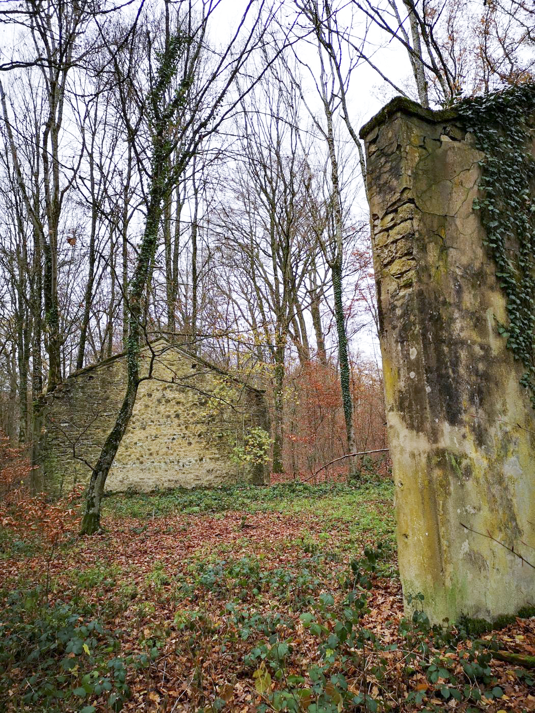 Ligne Maginot - VIRMING - (Dépôt de Munitions) - Murs de soutènements, vraisemblablement d'hangars métalliques ayant disparus